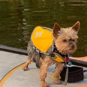 Meet your Posher, Elle